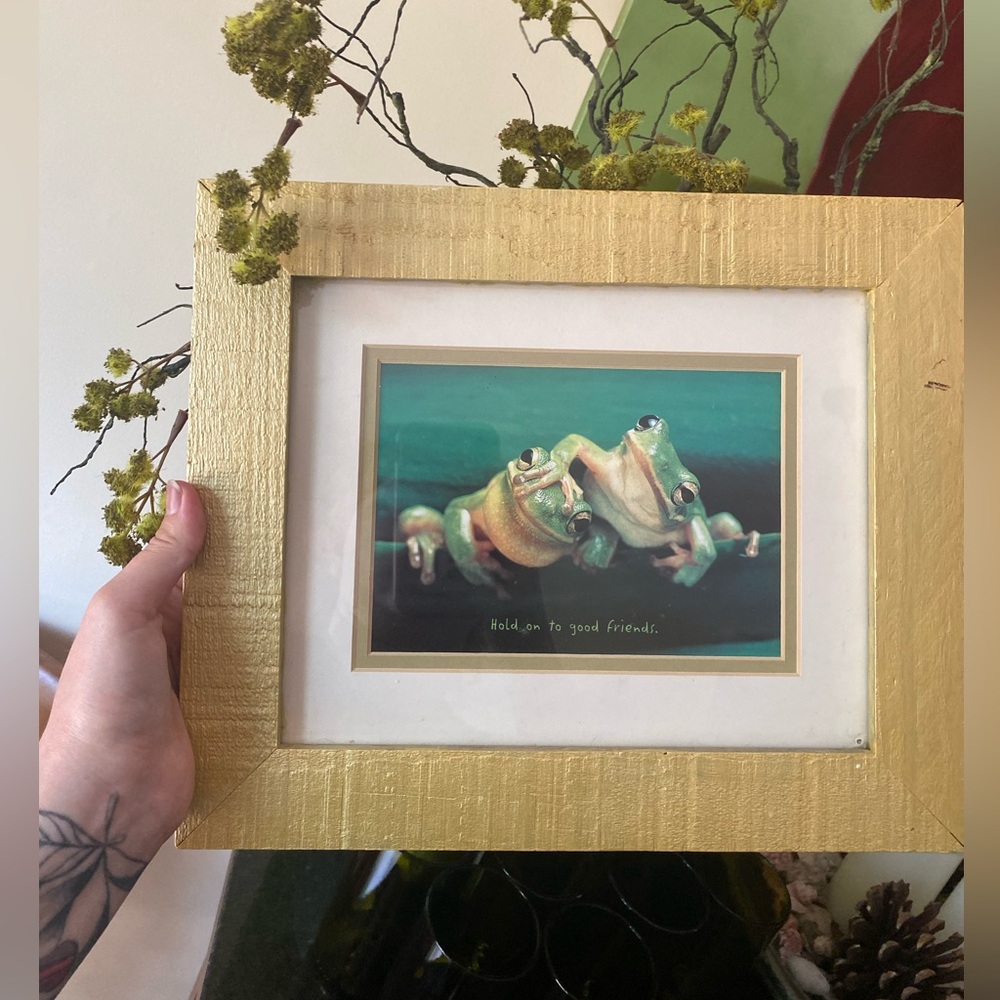 Frog wall art
